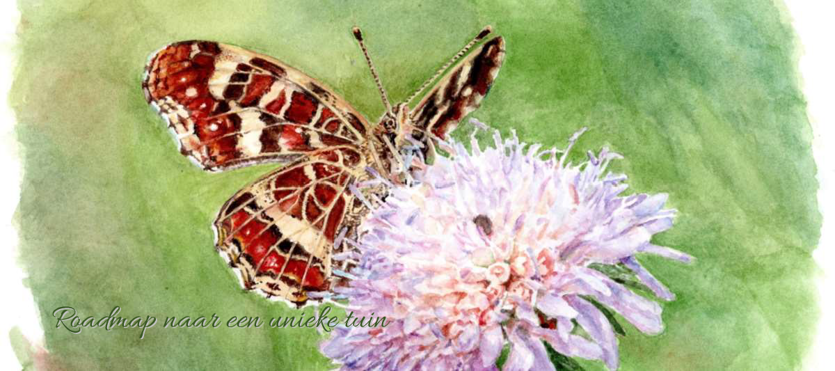 Landkaartje op Beemdkroon in aquarel Kaart naar een unieke tuin.